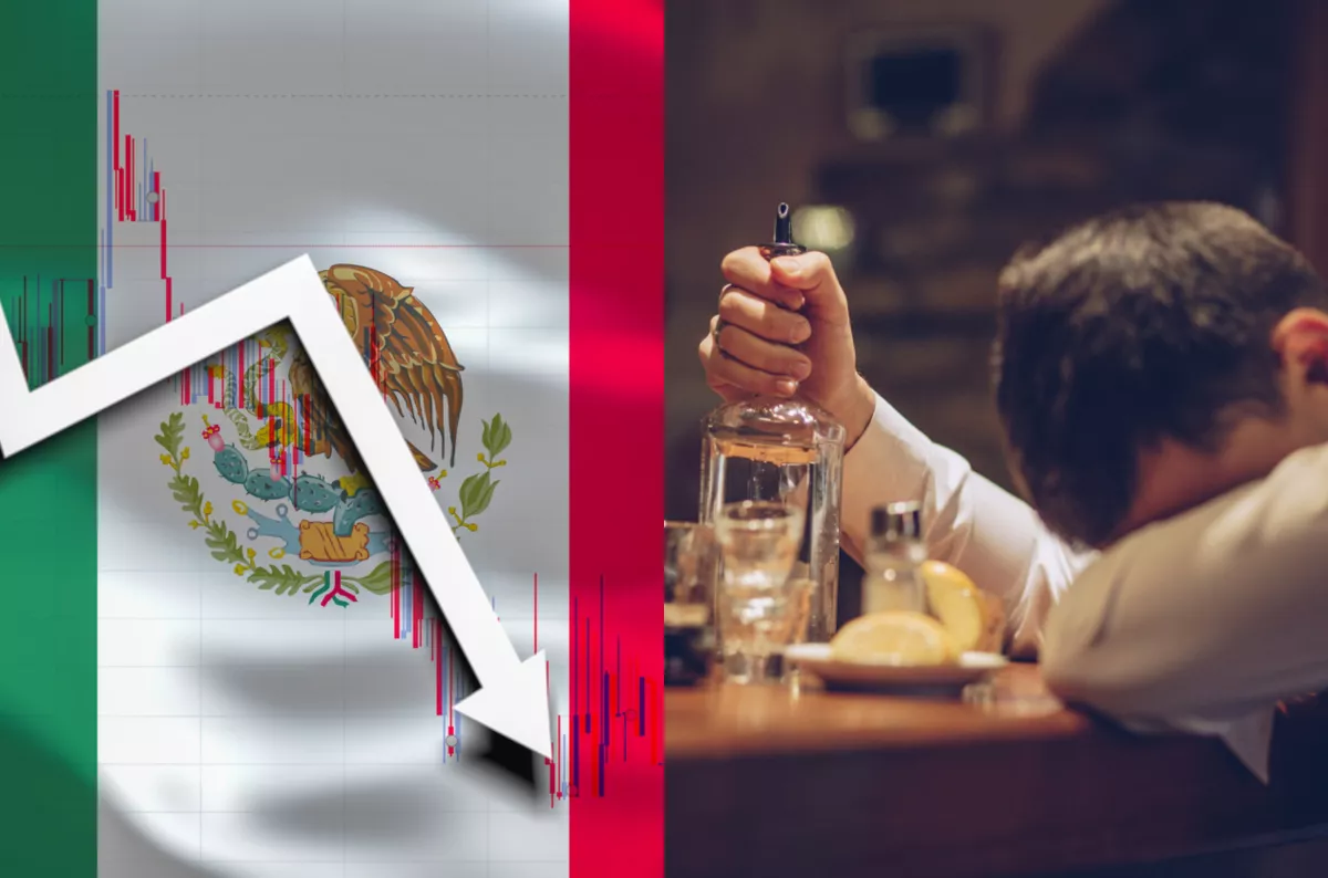 Se le denominó Efecto Tequila a las crisis de 1994 por las consecuencias de tomar la bebida alcohólica de origen nacional.