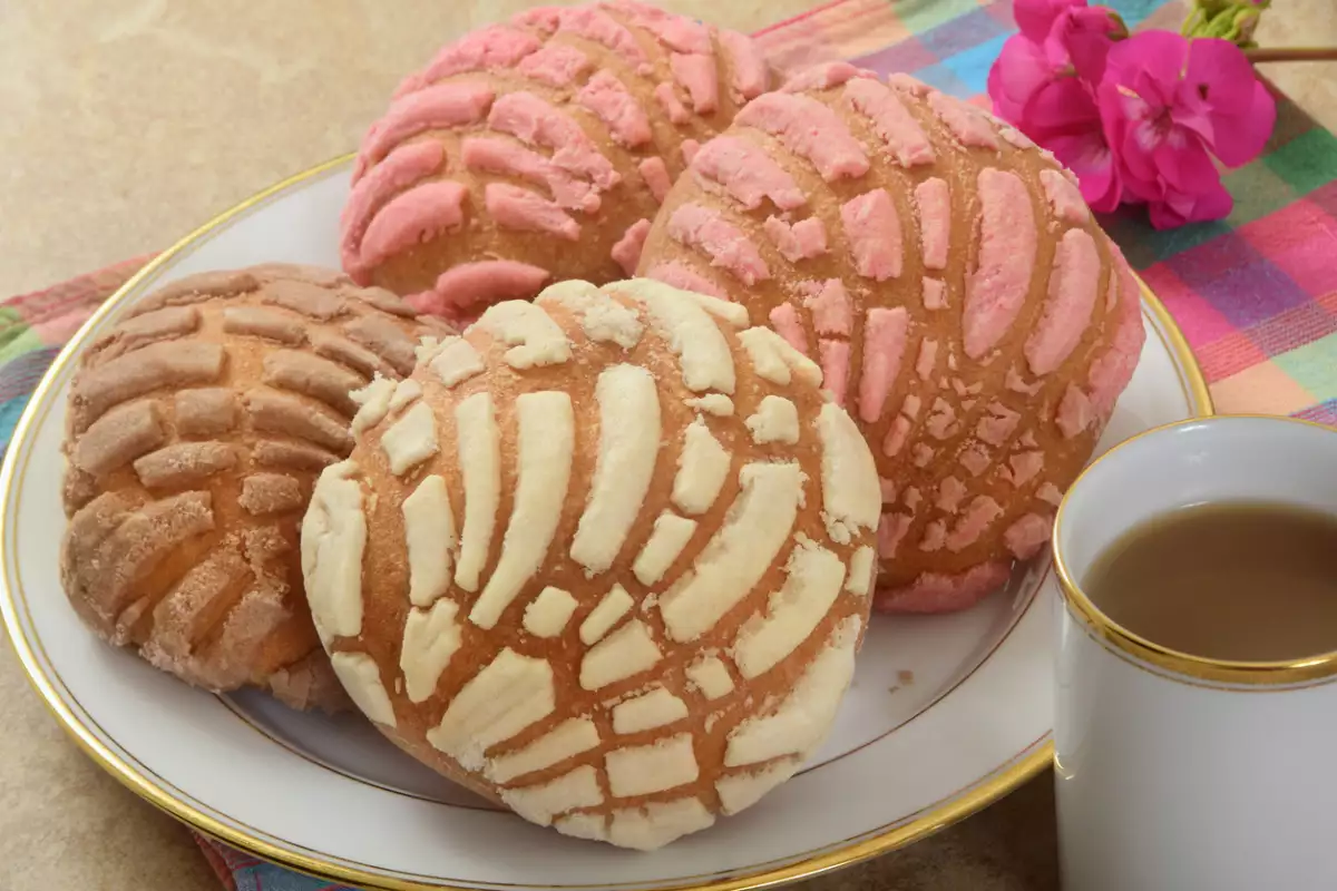 conchas-mexicanas-pan-dulce