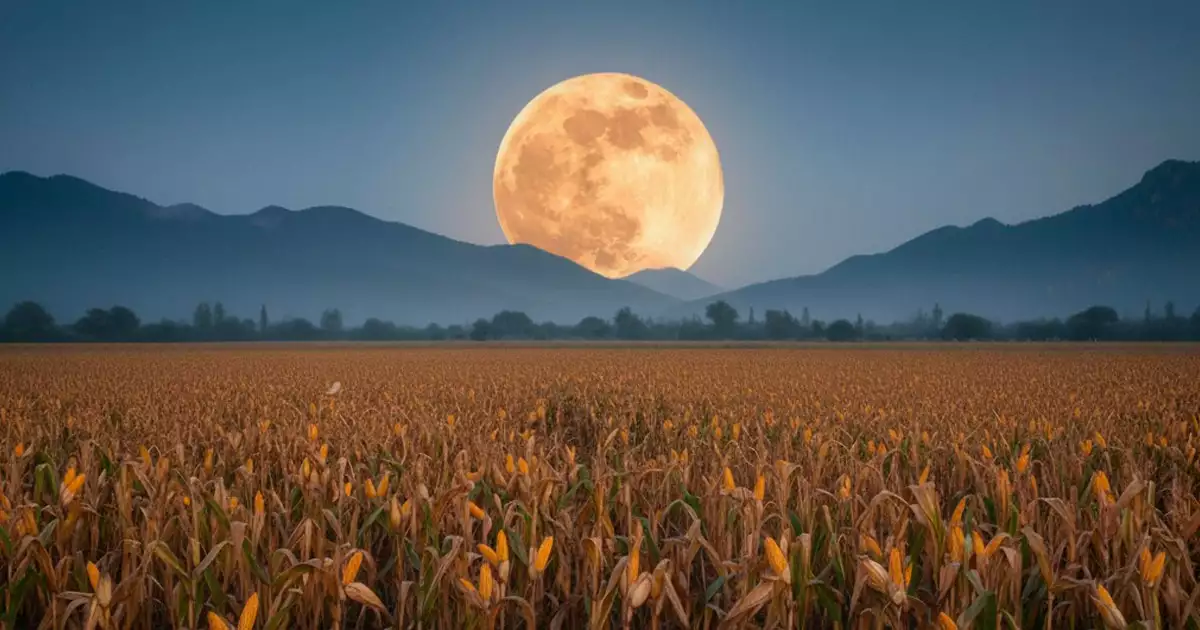 Eventos astronómicos de septiembre 2025: Luna de la Cosecha, equinoccio de otoño y lluvia de Perseidas