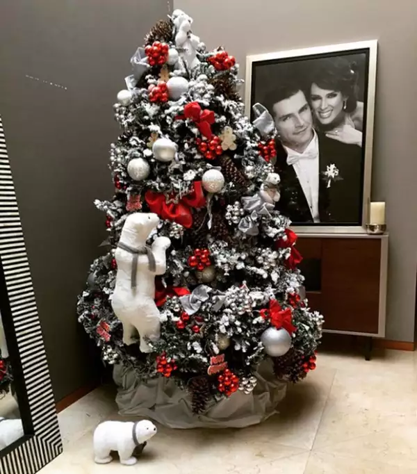 Tras publicar dicho tuit, Jacky compartió con sus seguidores que la Navidad había llegado a su casa.