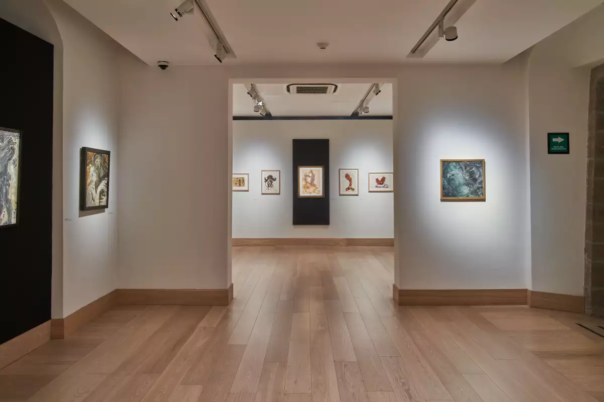 Foto de la exposicion Ideas Largas y Cabellos Cortos en el Museo Kaluz de CDMX