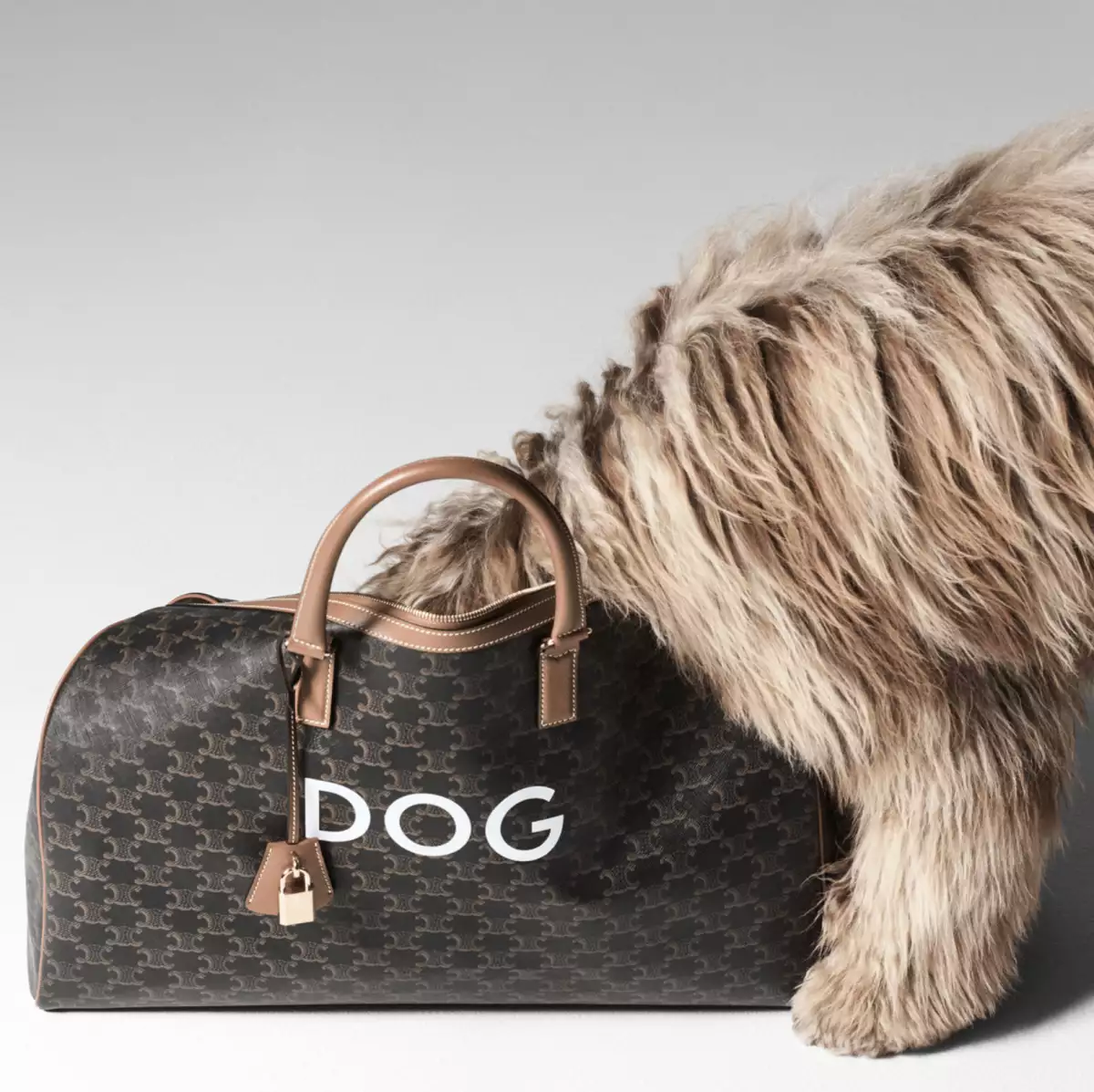 celine perros