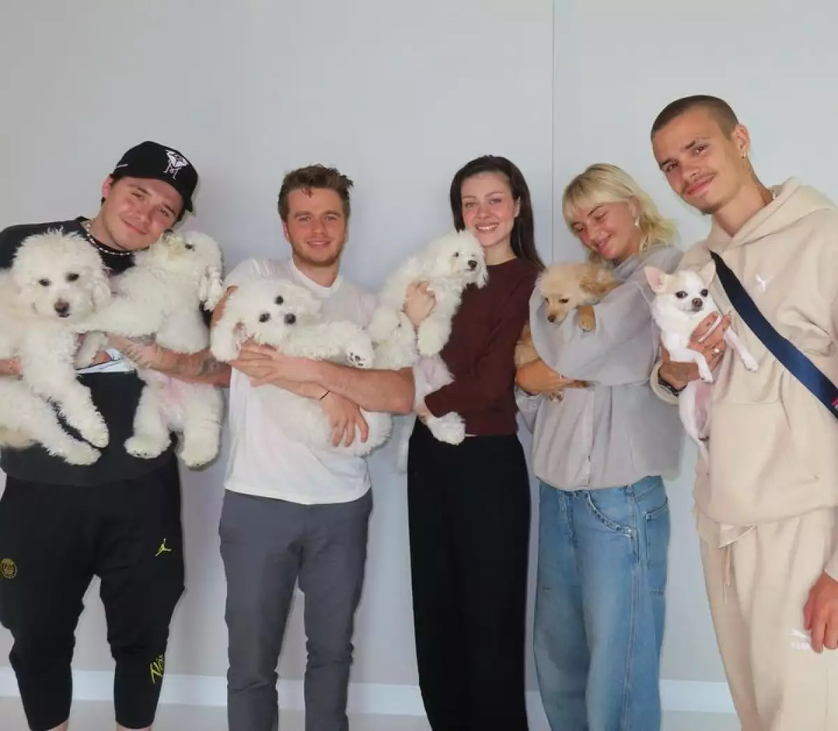 Los perritos de Nicola Peltz y Brooklyn Beckham.