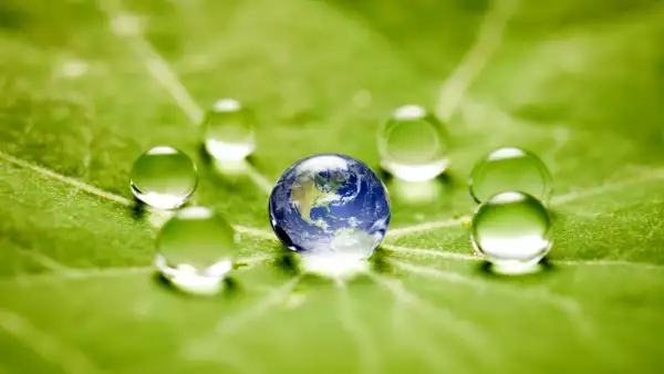 Para el cuidado del agua, la corresponsabilidad es clave