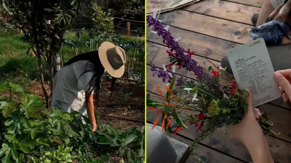 María Violante de Remedios del Bosque nos enseñó de herbolaria y cosmética viva