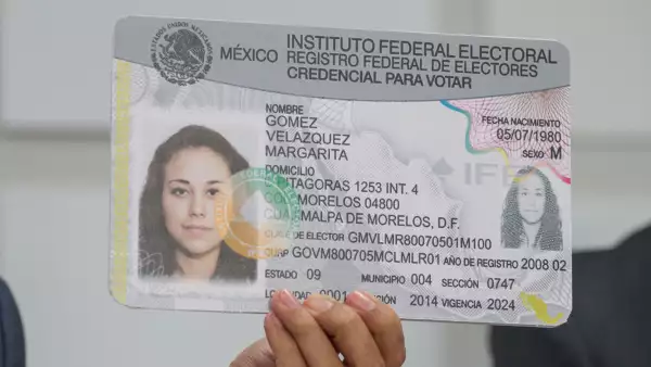¿Cómo deben cuidar los datos de tu credencial para votar?