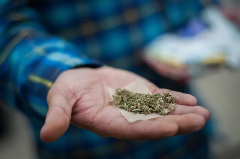 Discusión sobre la regulación de la cannabis. 