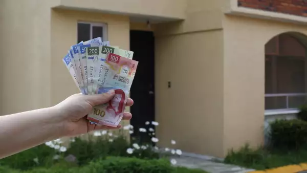 declaracion-patrimonial-2023