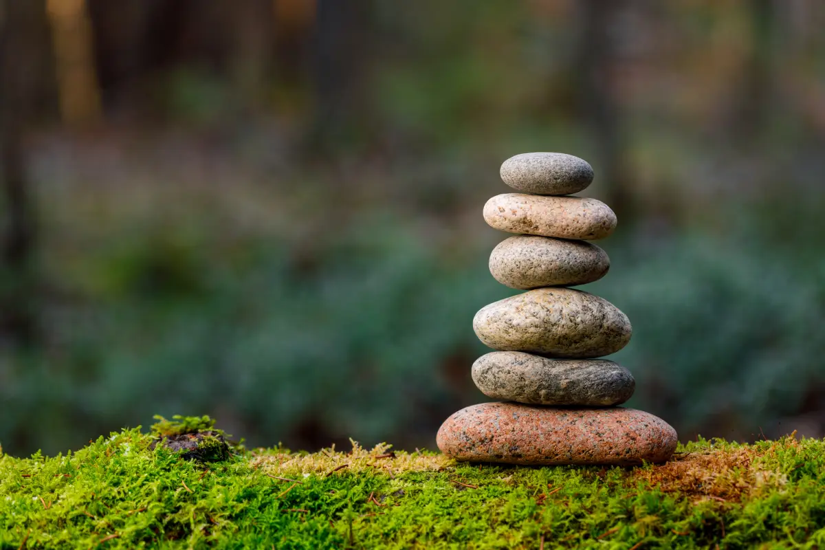 Piedras balanceadas en un árbol.