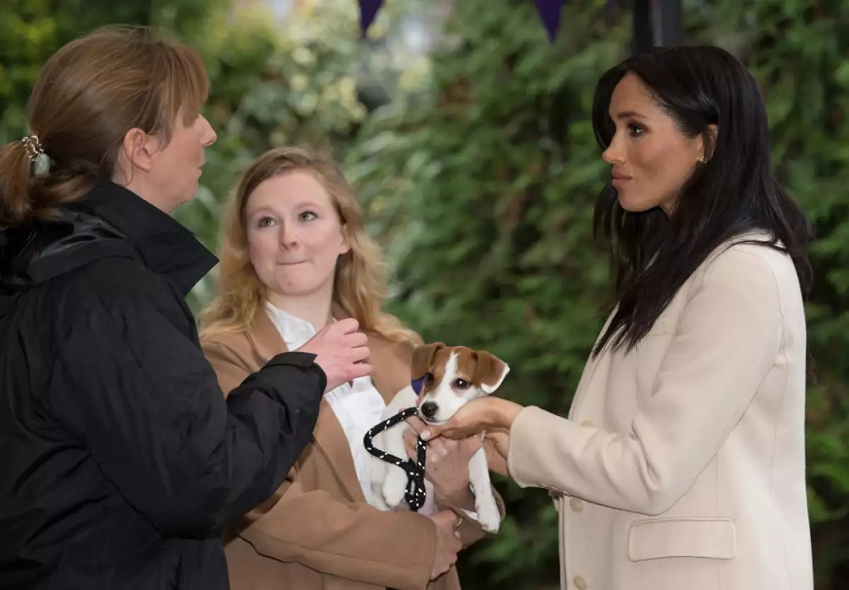 Meghan Markle
