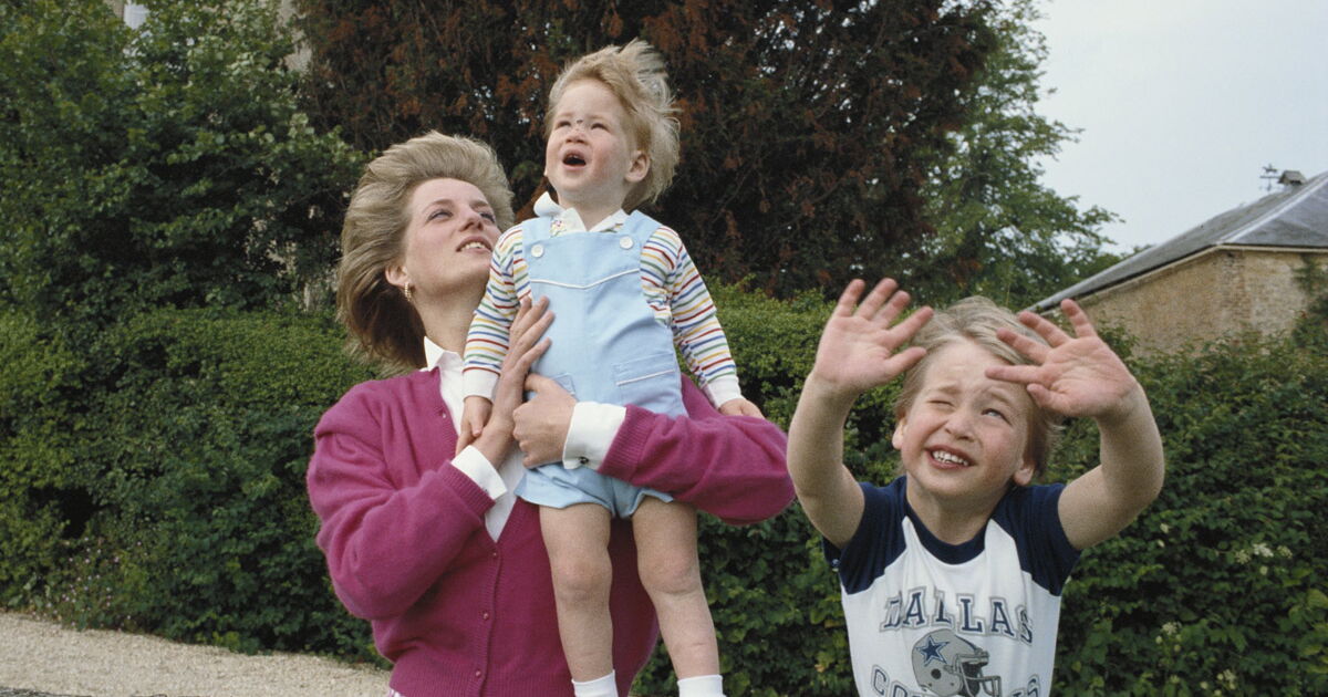 A treinta años de la muerte de Lady Di, el príncipe Harry planea su propia película sobre ella