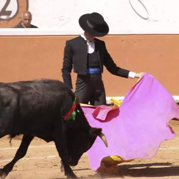 Corrida de toros Juriquilla