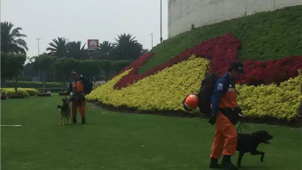 Rescatistas japoneses