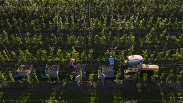 agro campo economía méxico
