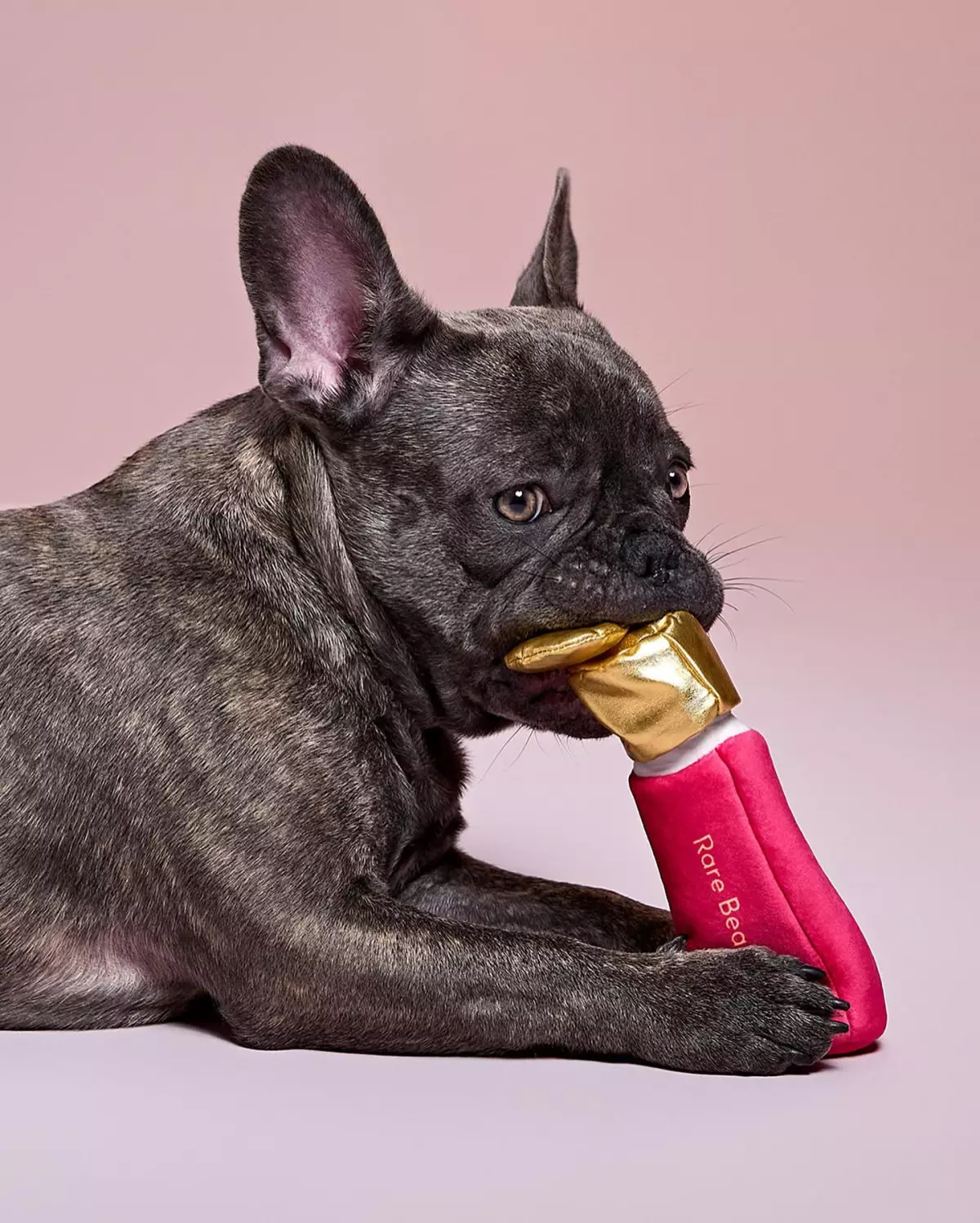 Selena Gomez lanza productos de Rare Beauty para perritos