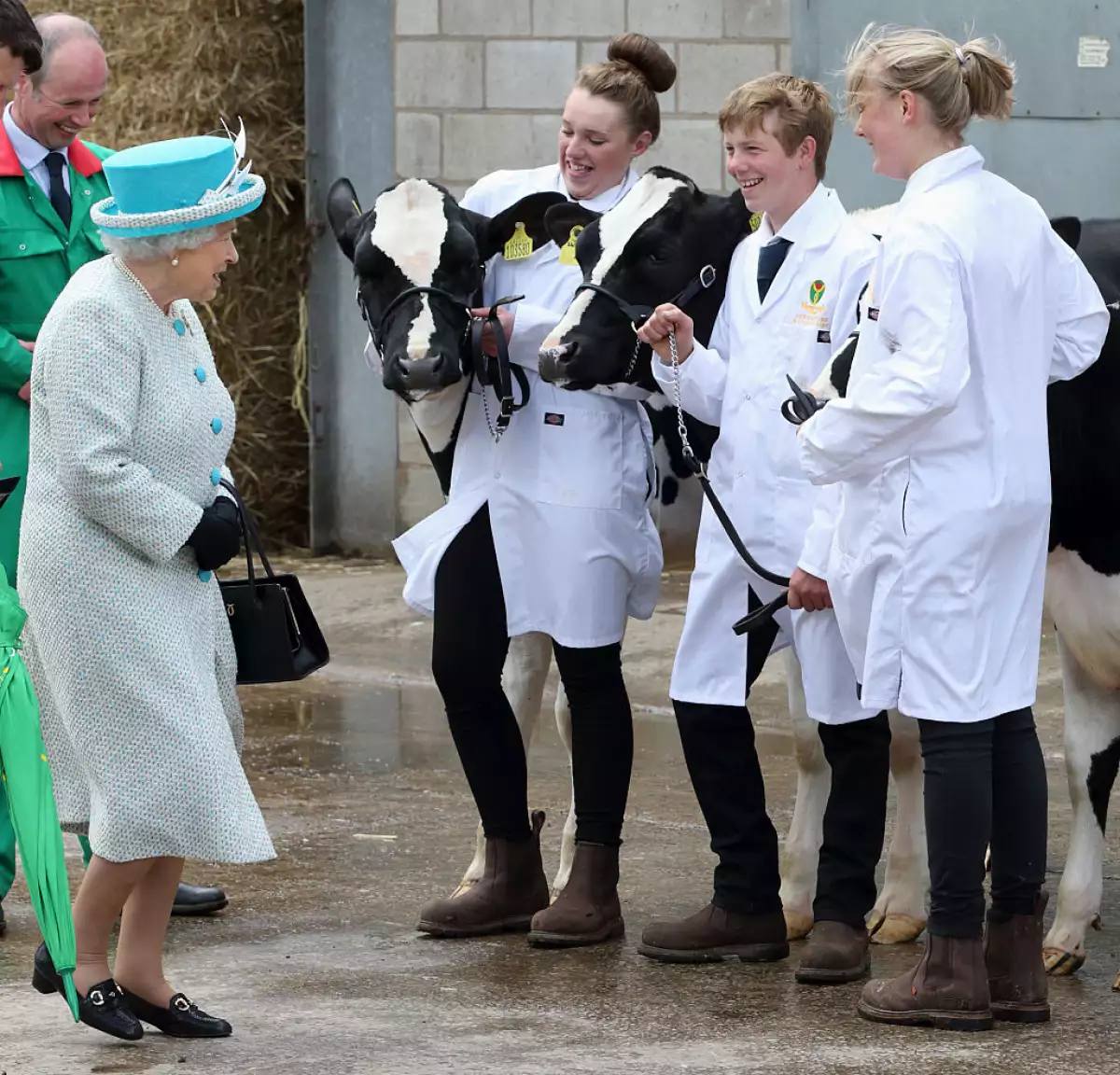 Reina Isabel granjas 