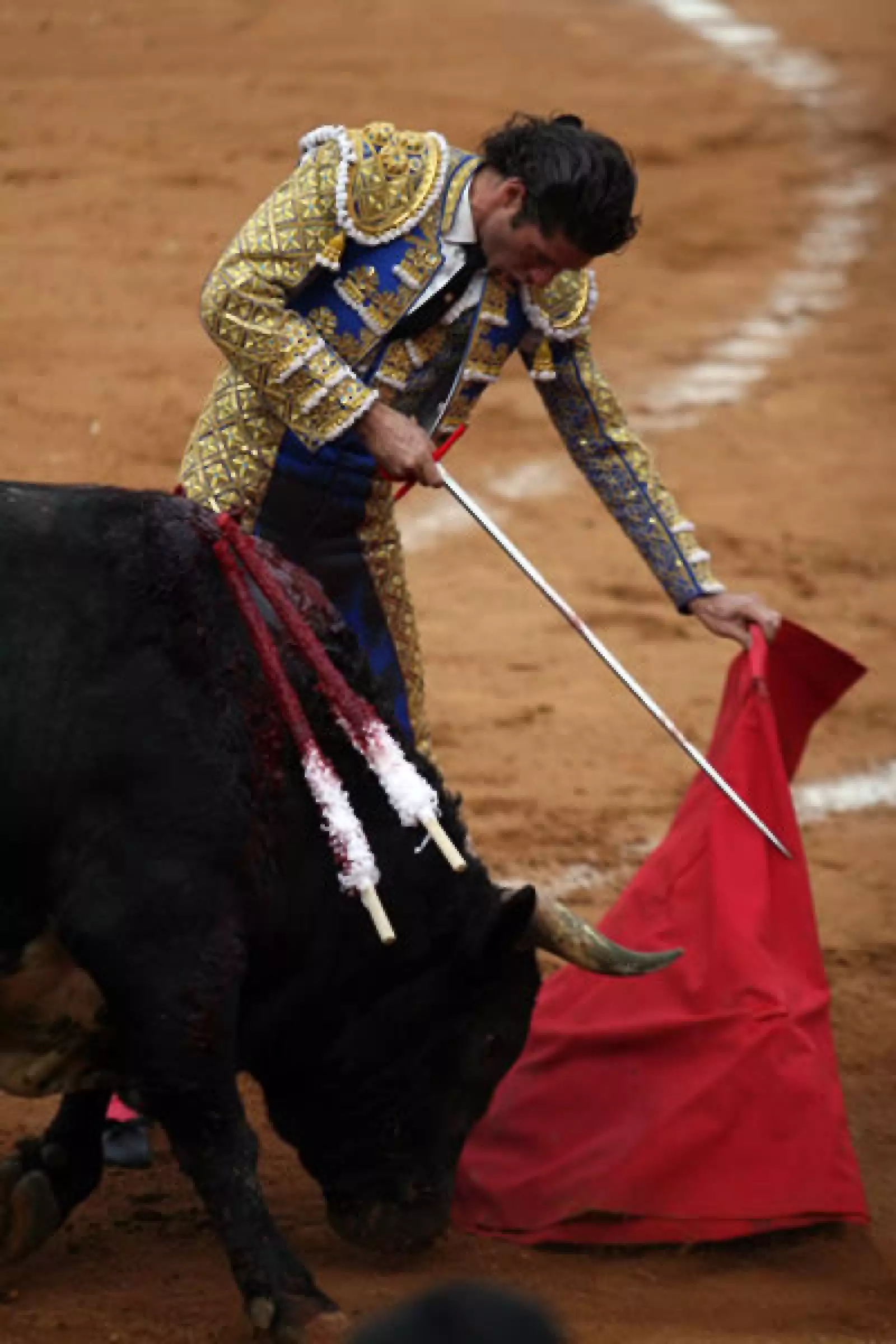 Corrida de Toros 15/02