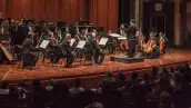 Músicos con violines y partituras con un director de orquesta en un teatro de color café frente a personas sentadasjpg
