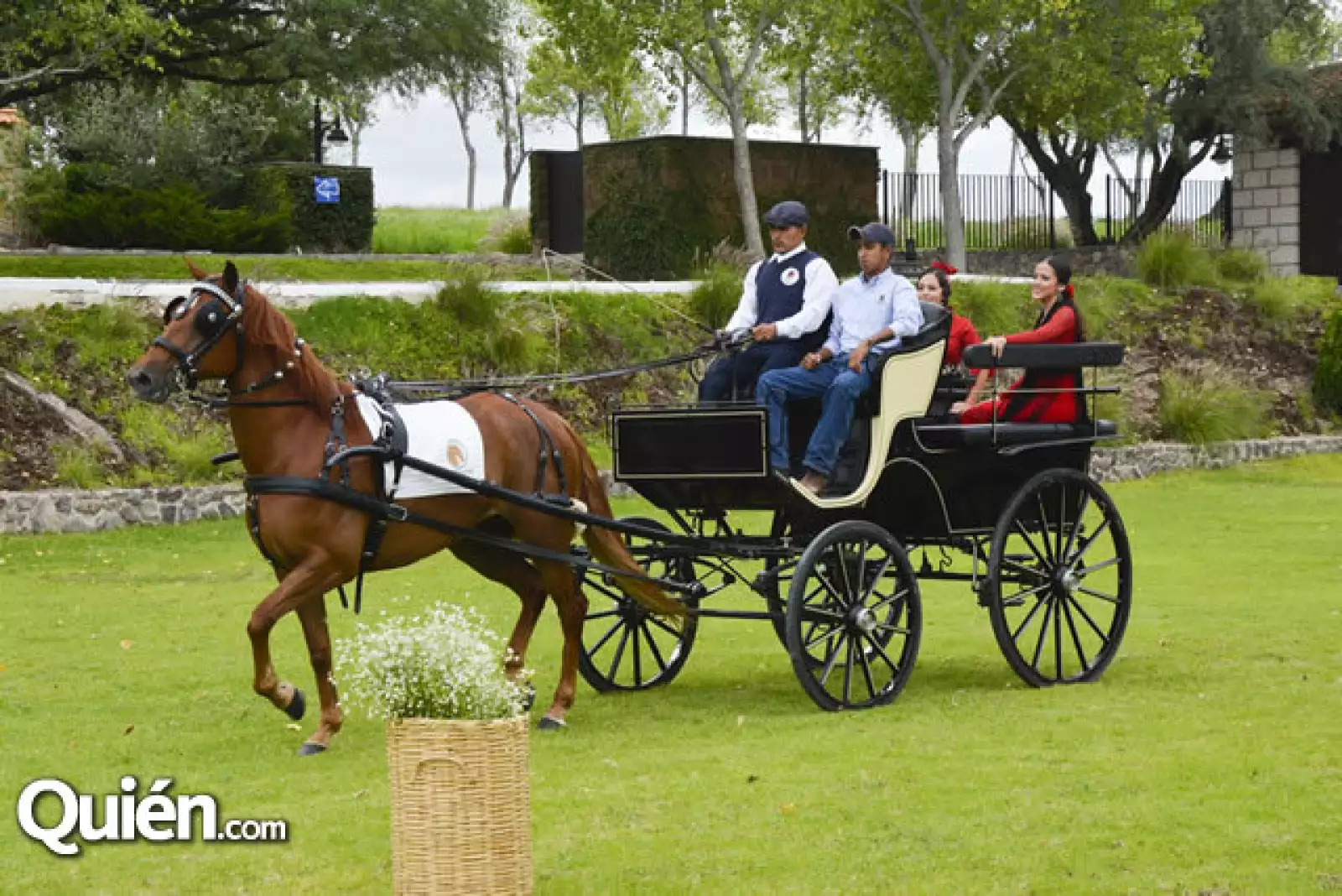 Exhibición de caballos Lucitanos