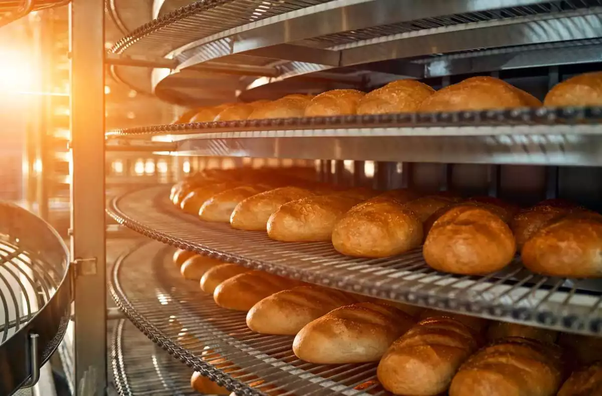 Prevén fuerte aumento del precio del pan en México por subida del trigo