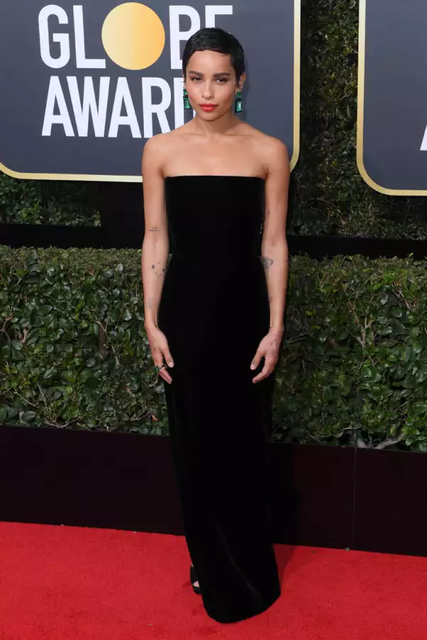 26th Annual Screen Actors Guild Awards, Arrivals, Shrine Auditorium, Los Angeles, USA - 19 Jan 2020