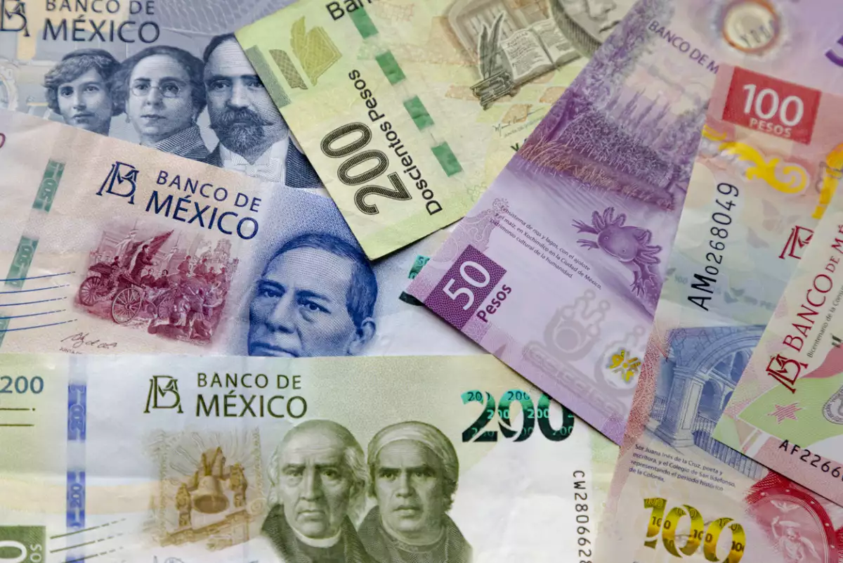 Senado aprueba en comisiones la ley de ingresos y la ley de derechos 2025