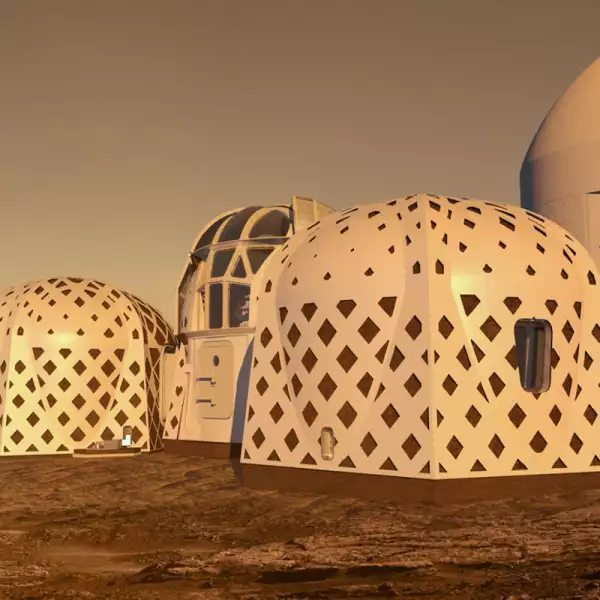 Zopherus - diseño - construcción