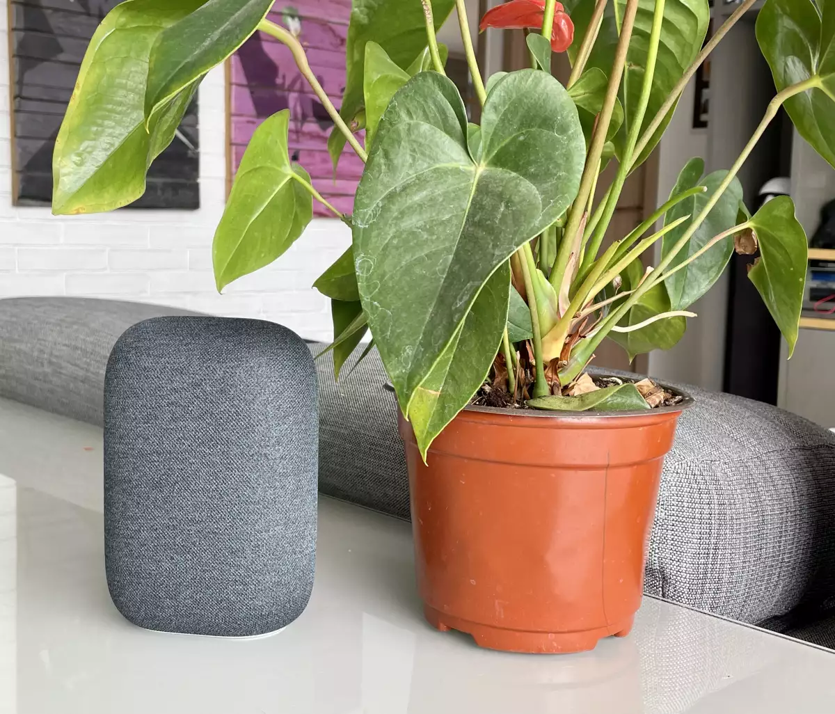 Google Nest Audio
