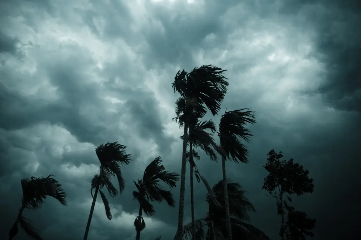 Tormenta tropical Erick se forma en el Pacífico; esta es su trayectoria