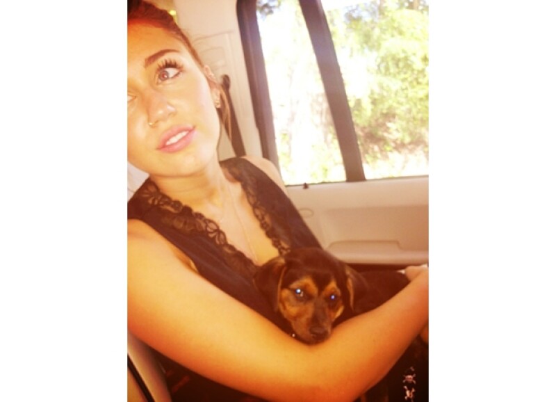Miley disfruta el tiempo que pasa con su adorada mascota.