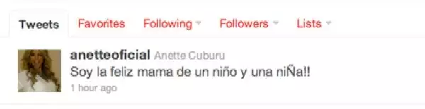 Anette anunció por Twitter la llegada de sus bebés.