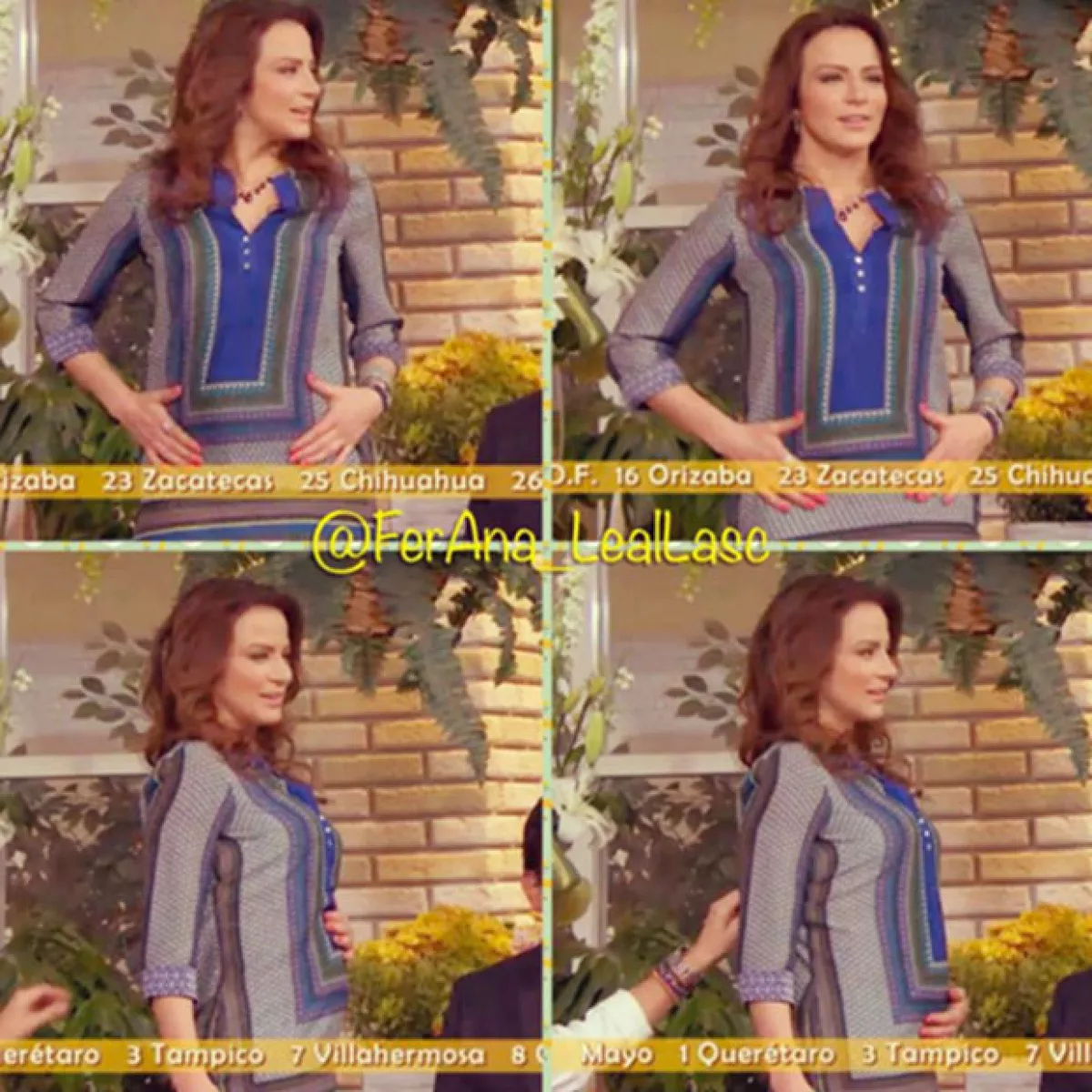 Silvia acaba de entrar a su segundo trimestre de embarazo.