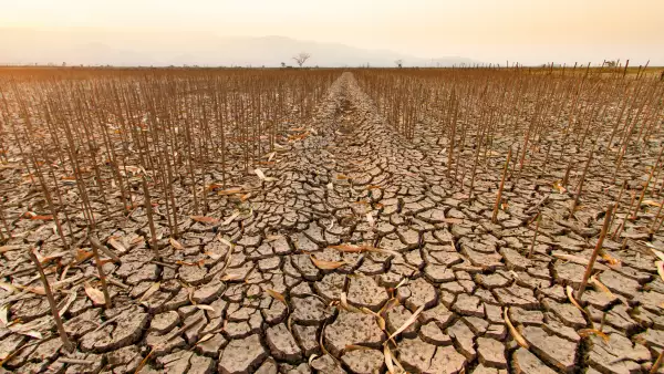 agricultura y cambio climatico