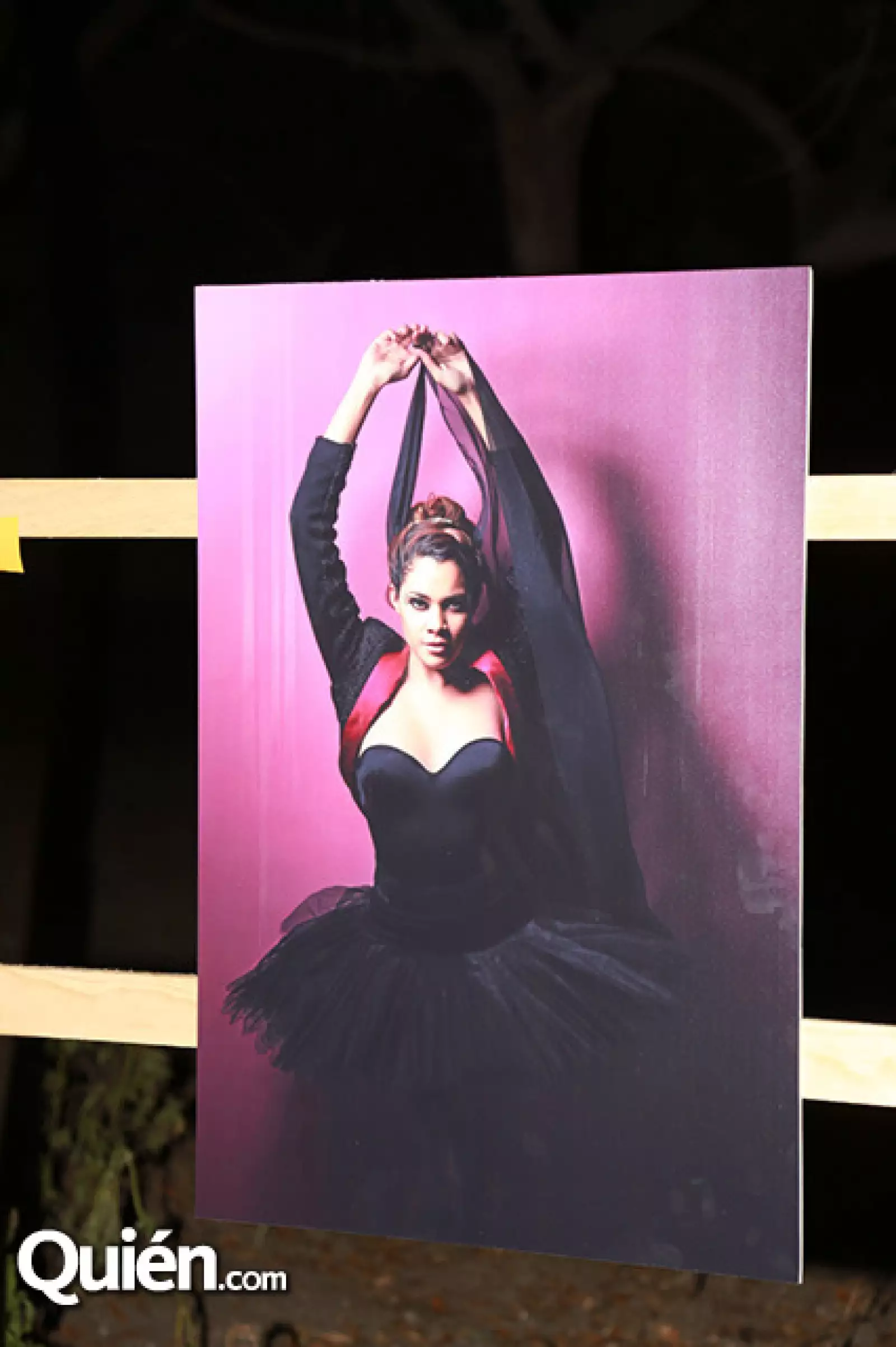 Aniversario Rosina RamÃ³n. Parque Fundidora. Monterrey 08-09-15