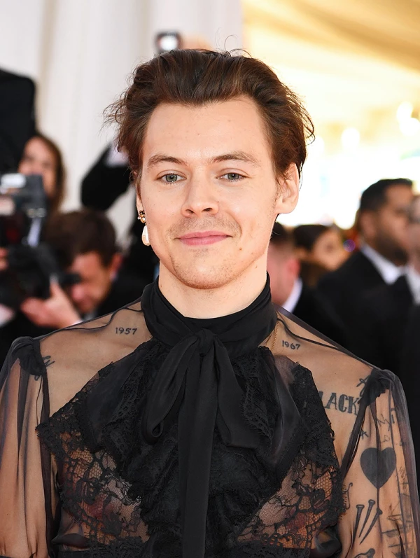 Harry Styles habla sobre su sexualidad y sus películas