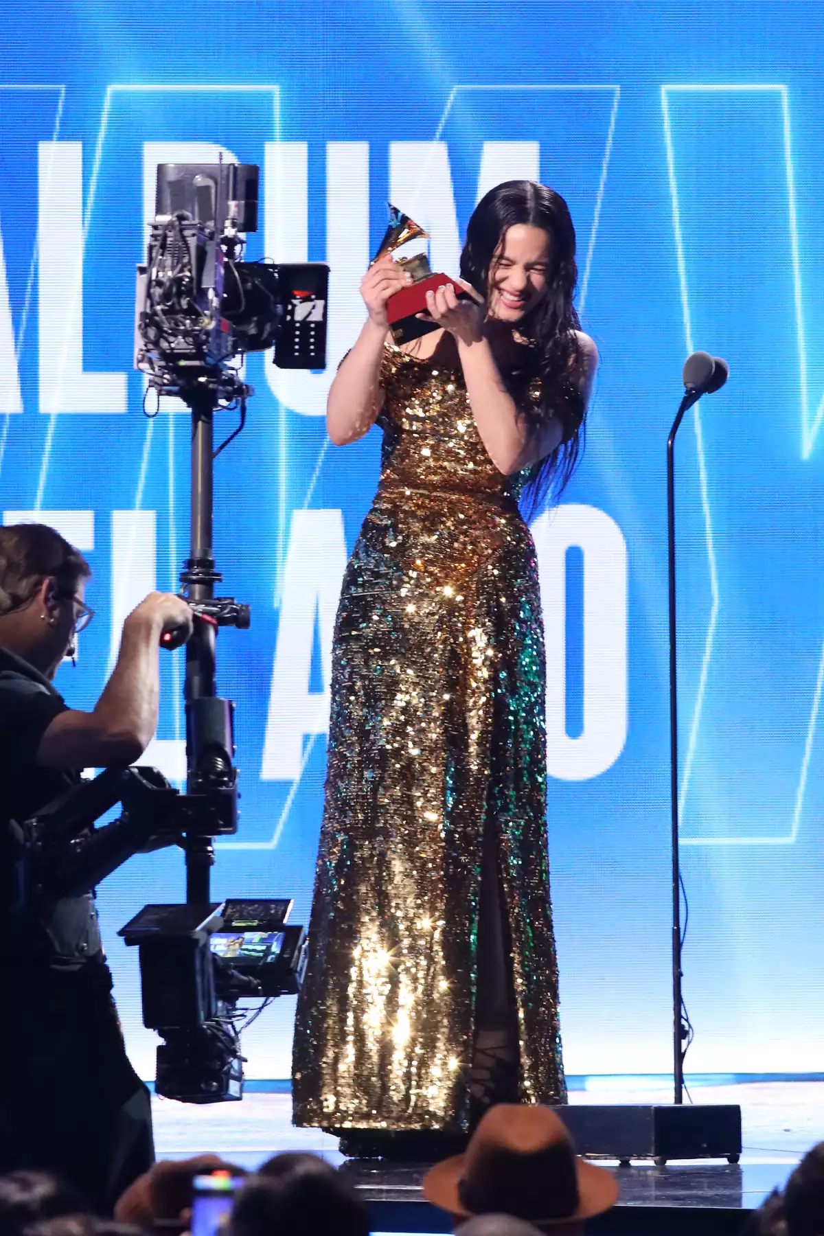 23rd Annual Latin GRAMMY Awards - Show