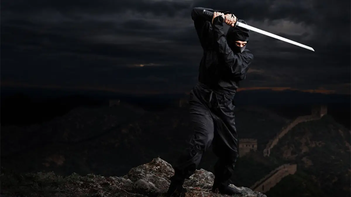Ninja