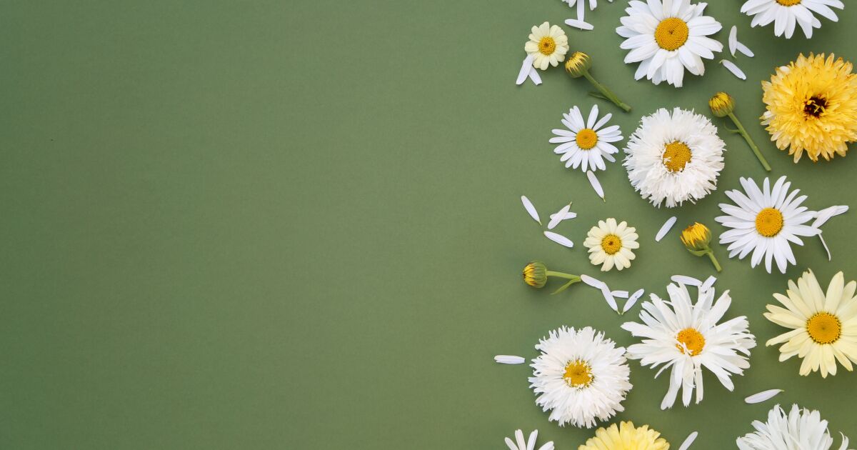 Meksika'da bu ay ne kutlanır?