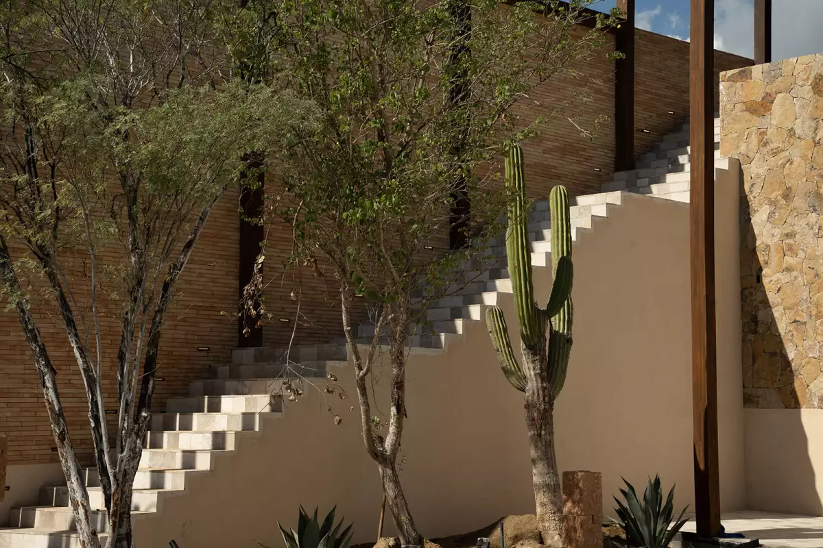 SOMA / ANIMA NOV 2025