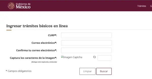 Pantalla de inicio de la página para darse de alta en Modalidad 40 del IMSS.