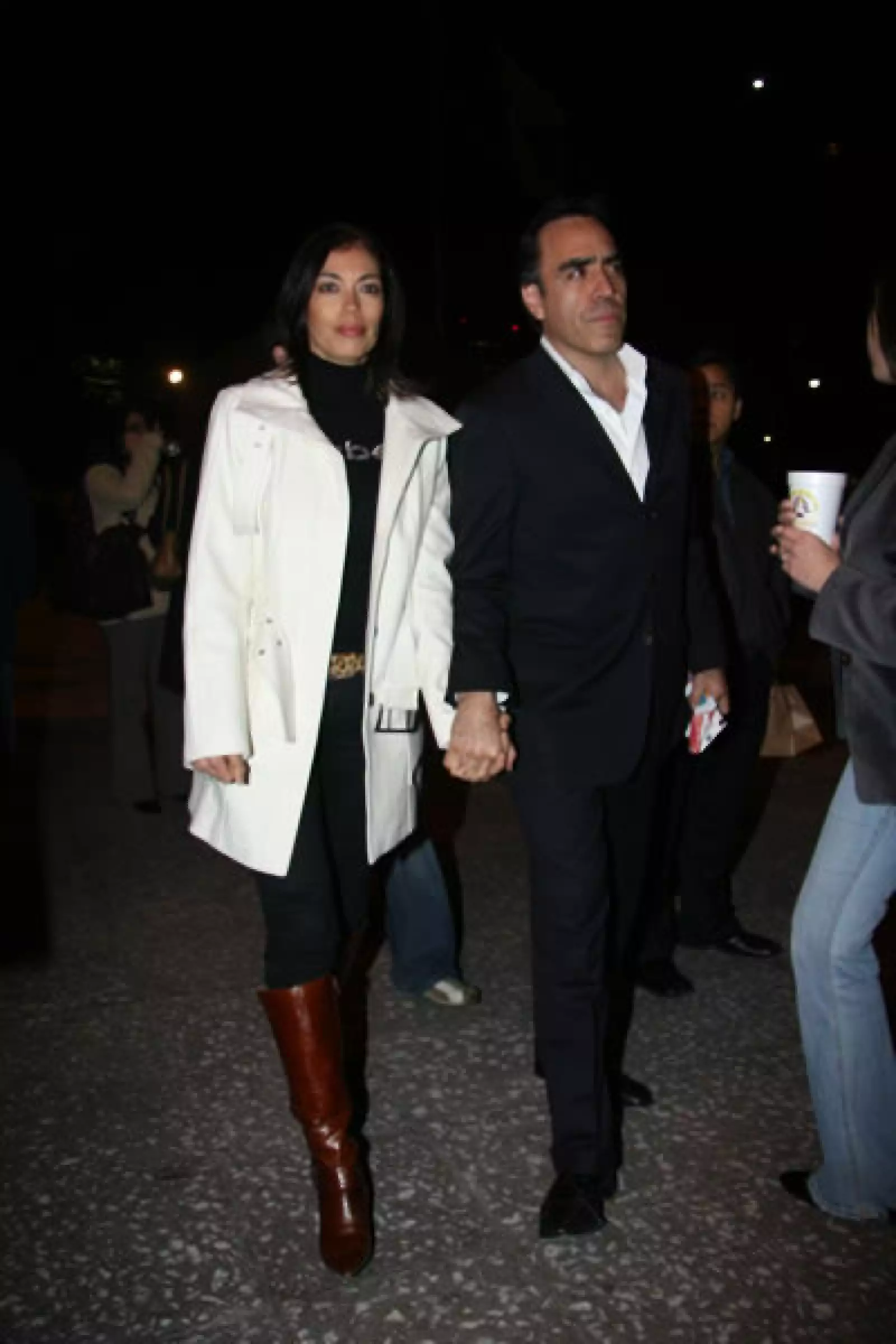 Aspectos, concierto de Luis Miguel.