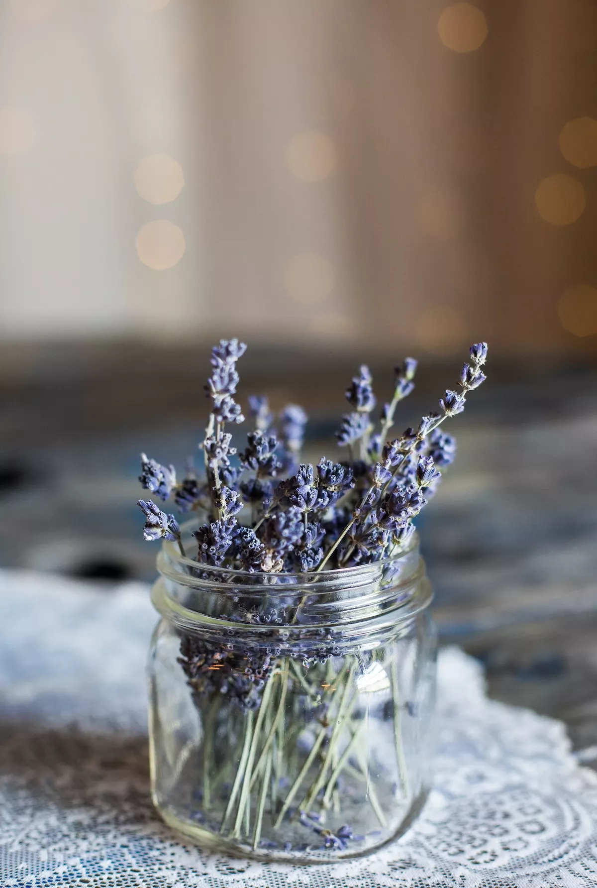 lavanda