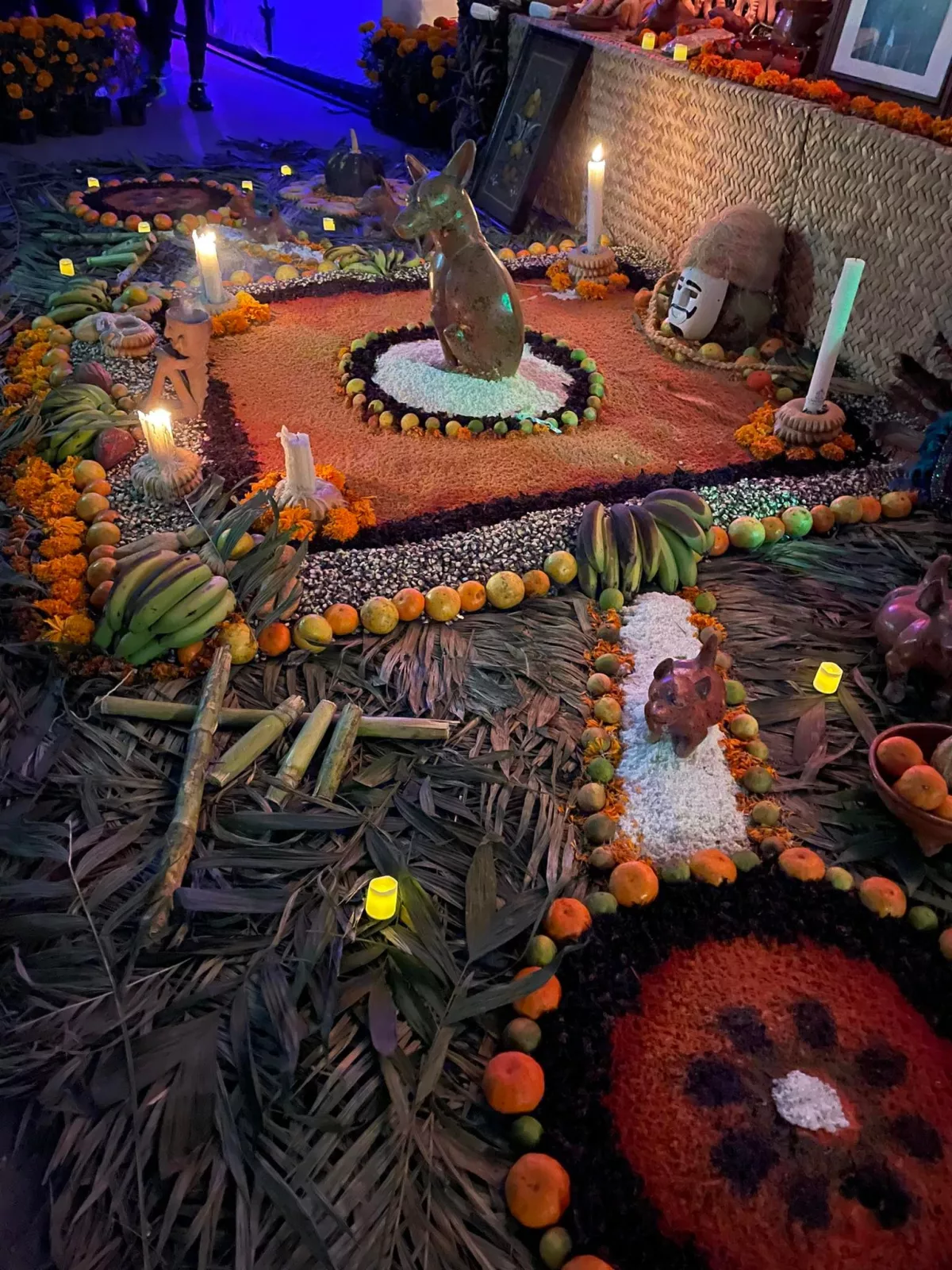 Millions of Mexicans take to the streets and squares to remember the dead Offerings