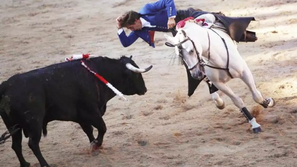 tauromaquia