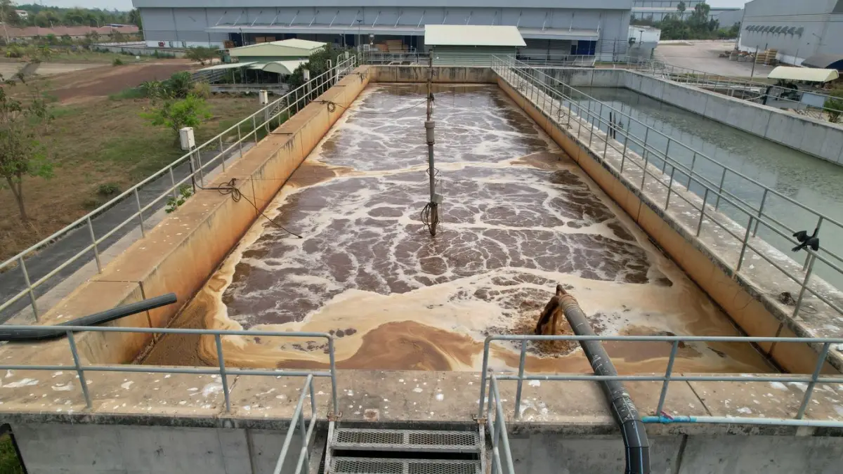 Industrias comprometidas con el medio ambiente, más valoradas por  consumidores e inversores