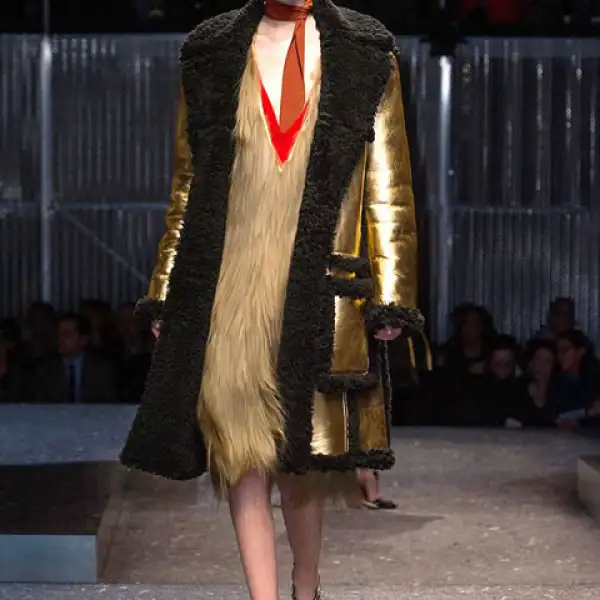 Look del desfile otoño -invierno 2014 de Prada.