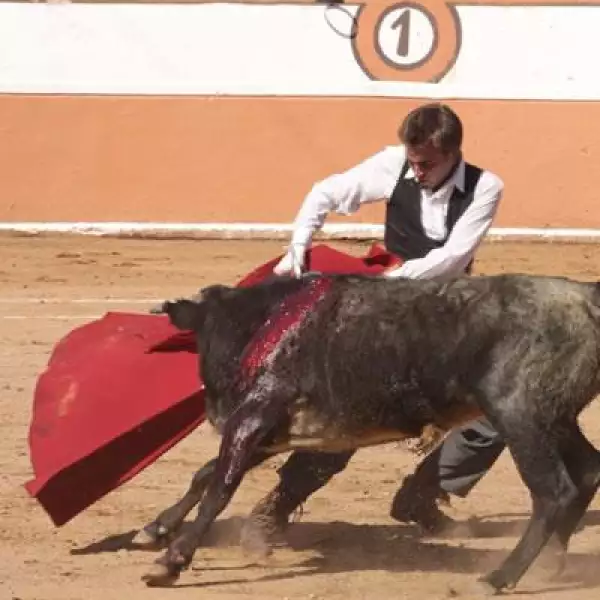Corrida de toros Juriquilla