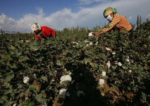 Foto: Getty Images © 76654655