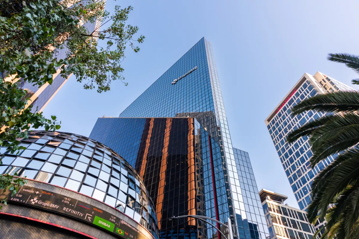 El mercado como lo conocemos inició a partir de los años 60´s dando paso a la implementación de avances tecnológicos a través de grandes inversiones extranjeras.