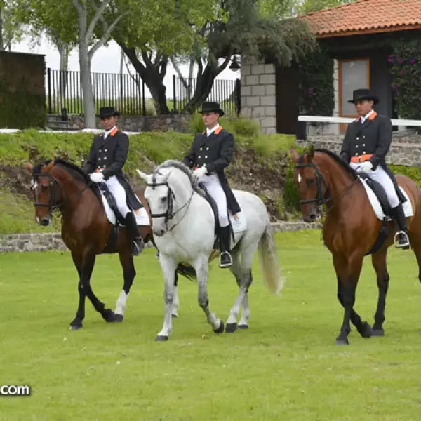 Tres magníficos ejemplares de Caballos Lucitanos: Alquimista,montado por Santiago Gómez,Samaritano que dirige Franco Cores y Alfarero que lleva. Abdel Cayetano
